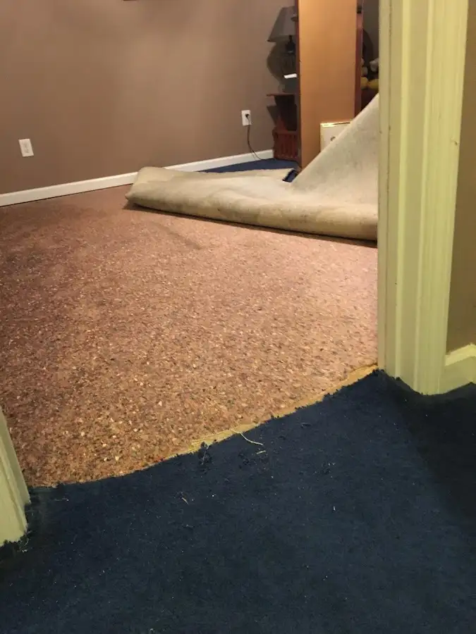 Carpet pad removal revealing water damage during Drying & Dehumidification in Merrimac