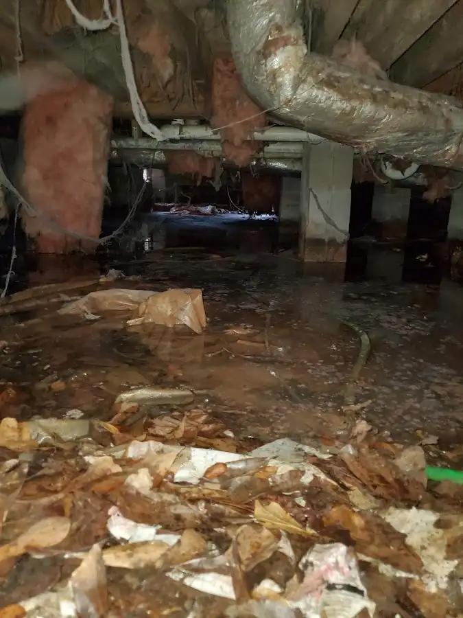 Crawl space flood assessment for Leak Detection & Repair in Merrimac